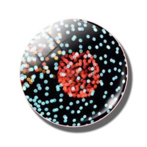 Magnesy Na Lodówkę - MM -3D