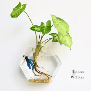 kf-H8ca49dbda8ae49cbbb58d617ee2e3c2e1-Moda-cienna-szklana-wisz-ca-wazon-na-kwiaty-Terrarium-cienna-akwarium-pojemnik-sadzarka-do-kwiat-w