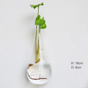 kf-He5b8179ea21848c58c7cf89804a9a3aeA-Moda-cienna-szklana-wisz-ca-wazon-na-kwiaty-Terrarium-cienna-akwarium-pojemnik-sadzarka-do-kwiat-w