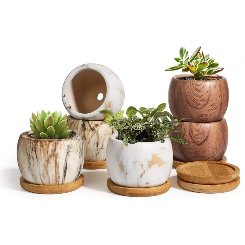 Ceramiczny dozownik do podlewania sukulentów