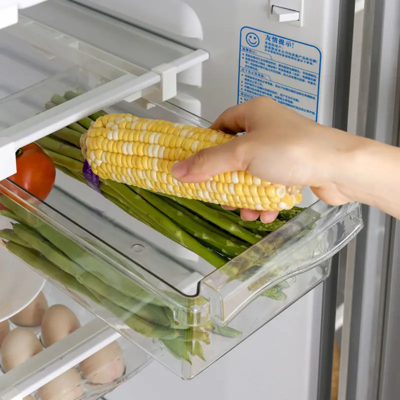 Wysuwany pojemnik na jajka pod półkę lodówki - ujęcie produktu