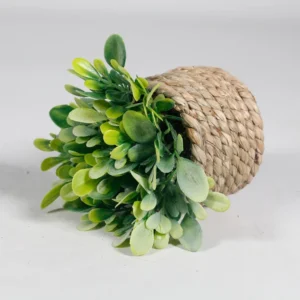 Sztuczna roślina eukaliptus, doniczkowa, 11 cm