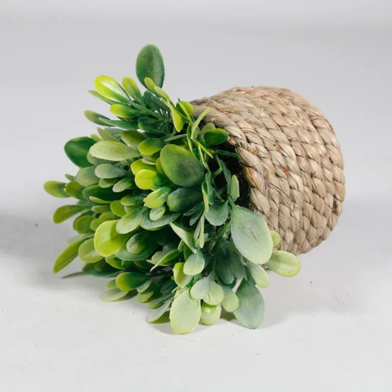 Sztuczna roślina eukaliptus, doniczkowa, 11 cm
