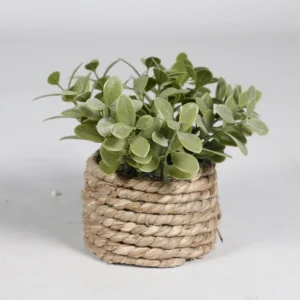 Sztuczna roślina eukaliptus, doniczkowa, 11 cm