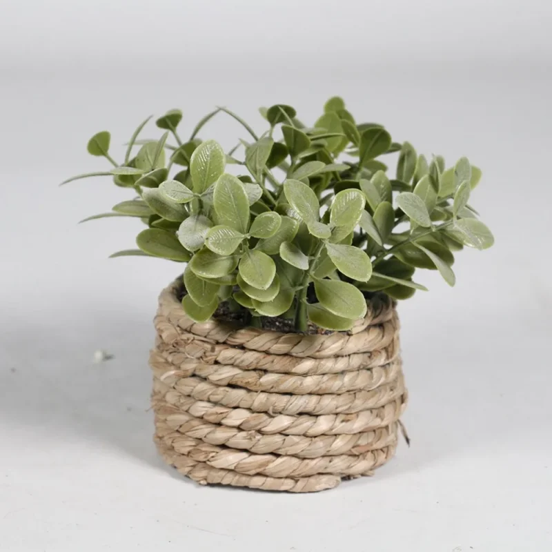 Sztuczna roślina eukaliptus, doniczkowa, 11 cm