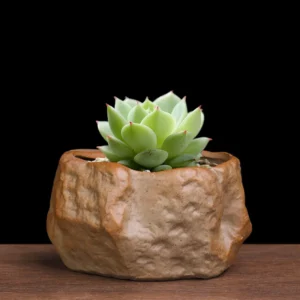 Ceramiczna doniczka kaktus na sukulenty