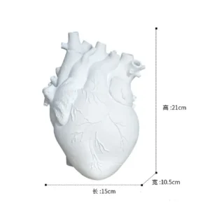 Wazon dekoracyjny w kształcie anatomicznego serca - ujęcie produktu