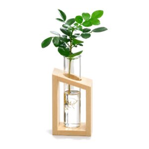 Szklany wazon hydroponiczny z probówkami, z drewnianym stojakiem, 2 szt. - G3507A 1pc Beige