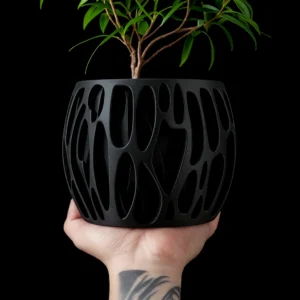 kf-Sc6b431ea0f234924b3364df412bf5293q