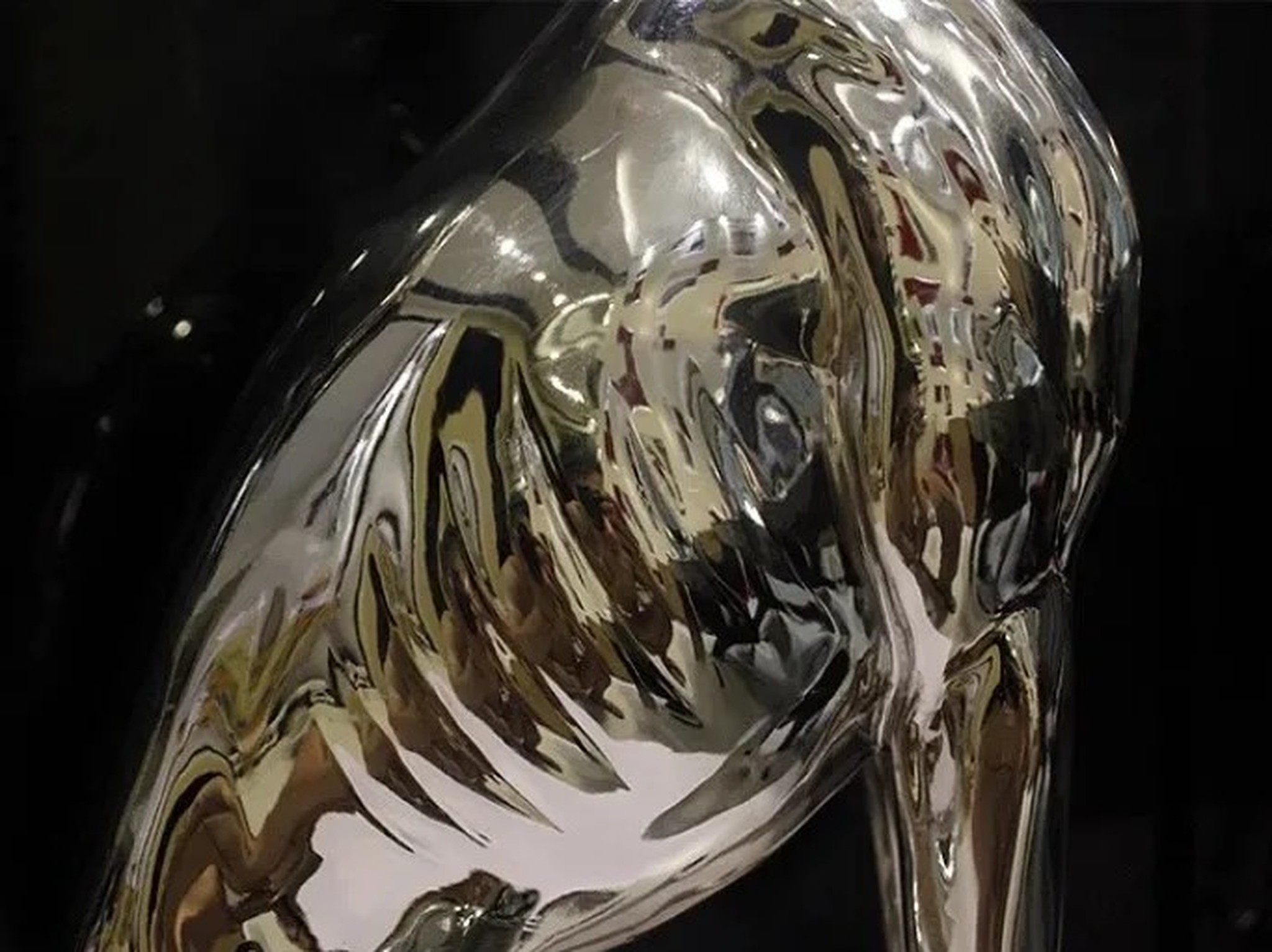zbliżenie tułowia z żebrami i mięśniami, lustrzane refleksy