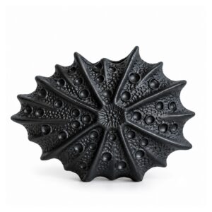 Wazon ceramiczny jeżowiec morski, płaski, biały lub czarny, 11-24 cm - wariant czarny, 15,2 x 7,8 x 11,2 cm