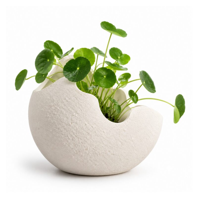 Wazon ceramiczny skorupka jajka z białej porcelany, 3 rozmiary - wariant mała 15 cm